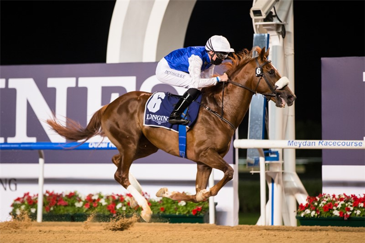 RB FRYNCHH DUDE winning the The Madjani Stakes Presented By Longines