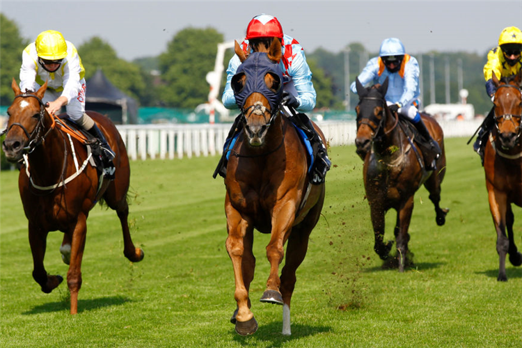 RED VERDON winning the Betway Grand Cup Stakes at Doncaster in Doncaster, England.