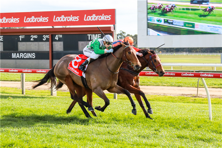 REWARD winning the CME Installations 3YO Fillies Maiden Plate in Moe, Australia.