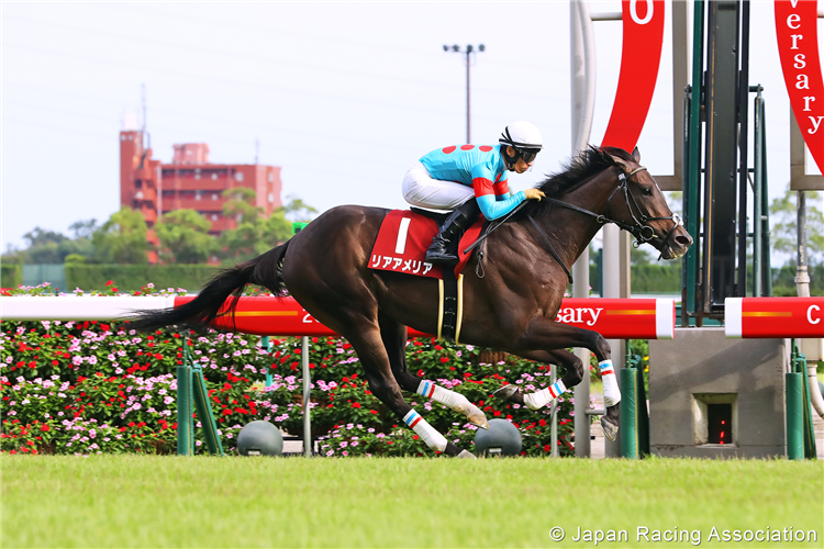 RIA AMELIA winning the Sho Rose Stakes at Chukyo in Japan.