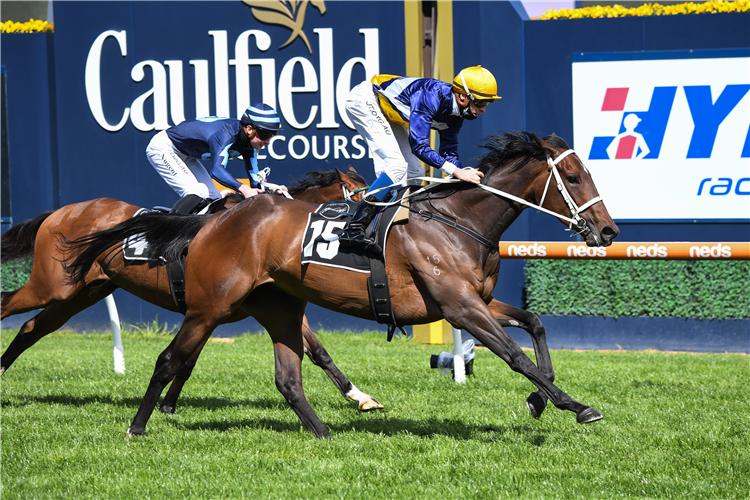 RICH HIPS winning the MRC RMHC Pin & Win Hcp at Caulfield in Australia.