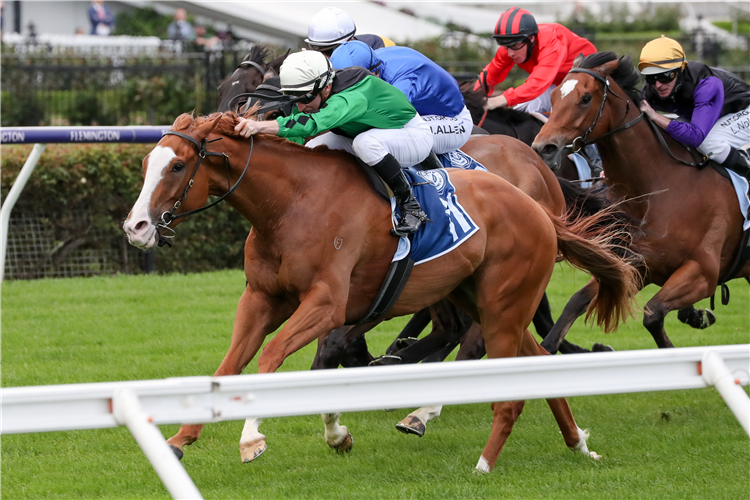 RIDDLE ME THAT winning the Furphy Ale Paris Lane Stks at Flemington in Australia.