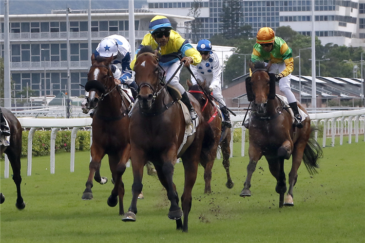 RIGHTEOUS DOCTRINE winning the Hoi Ha Hcp (C2)