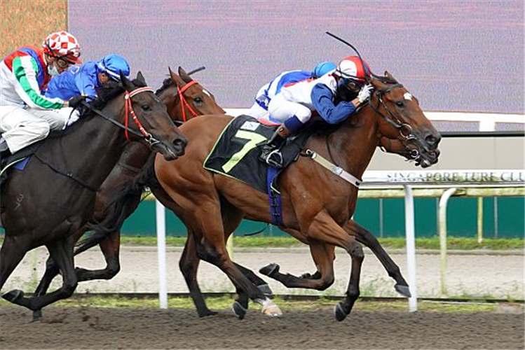 RIVER BRILLIANCE winning the RESTRICTED MAIDEN