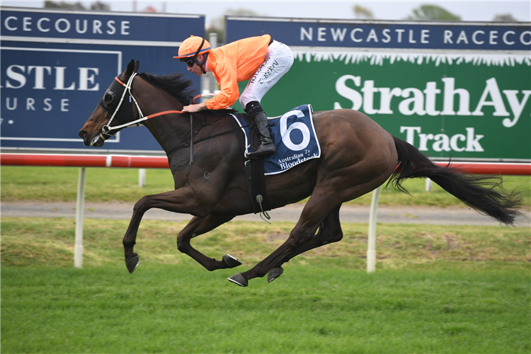 ROCK winning the Australian Bloodstock Cameron at Newcastle in Australia.