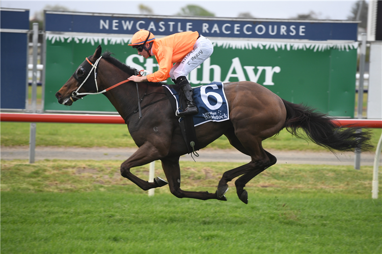 ROCK winning the Australian Bloodstock Cameron at Newcastle in Australia.