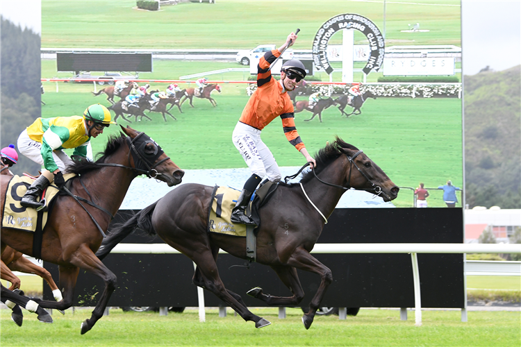 ROCK ON WOOD winning the Rydges Wellington Captain Cook