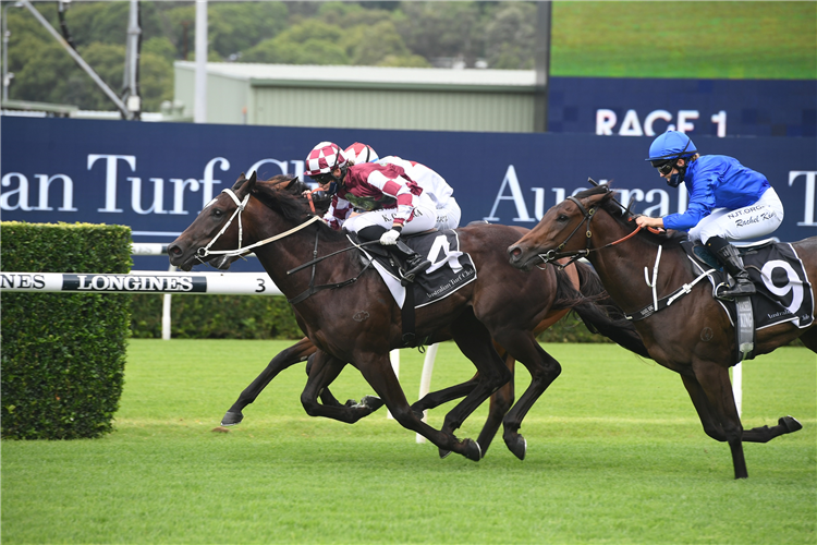ROCKET TIGER winning the Boxing Day Plate at Randwick in Australia.