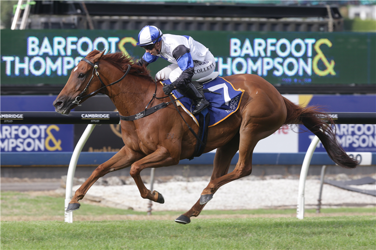 ROGER THAT winning the Barfoot&Thompson Auckland Cup