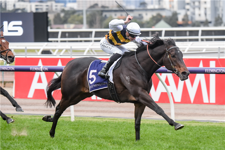 ROMANCER winning the James Dunbar's Flemington Inn in Flemington, Australia.