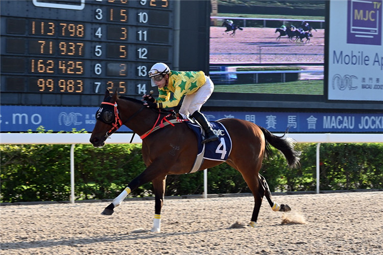 ROSE HERO winning the THE EMERALD (Div 2)