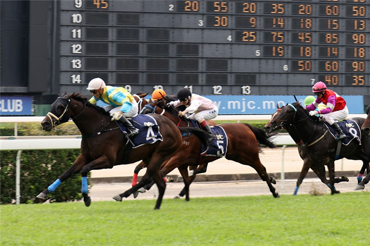 ROYAL GARDEN winning the THE AFONSO ALBUQUERQUE