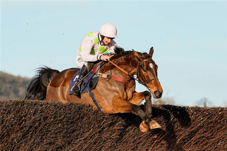 ROYALE PAGAILLE in action during The Poolman Patios And Landscaping Novices' Chase in Chepstow, Wales.