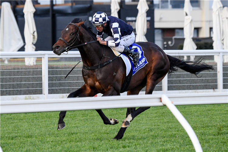 RUSSIAN CAMELOT winning the Hyland Race Colours Underwood Stakes at Caulfield in Australia.