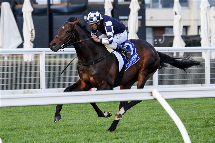 RUSSIAN CAMELOT winning the Underwood Stakes