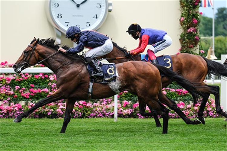 RUSSIAN EMPEROR winning the Hampton Court Stakes at Ascot in England.