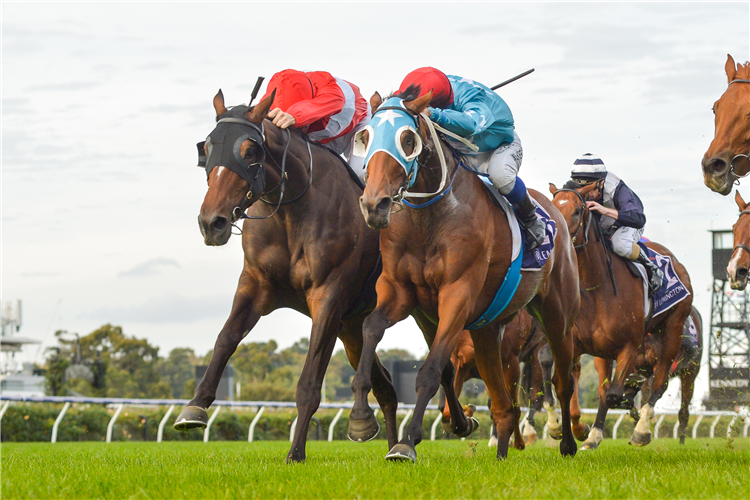 Sacramento (outside) just gets the better of Saint Eustace in the Listed VRC St Leger (2800m) at Flemington on Saturday.<br />