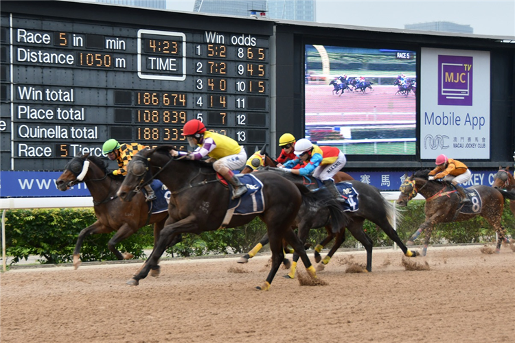 SACRED CAPITAL winning the THE ZHONGSHAN