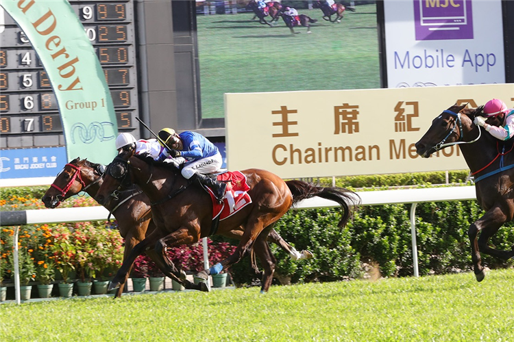 SACRED MAGNATE winning the SJM MACAU DERBY (TRIPLE CROWN