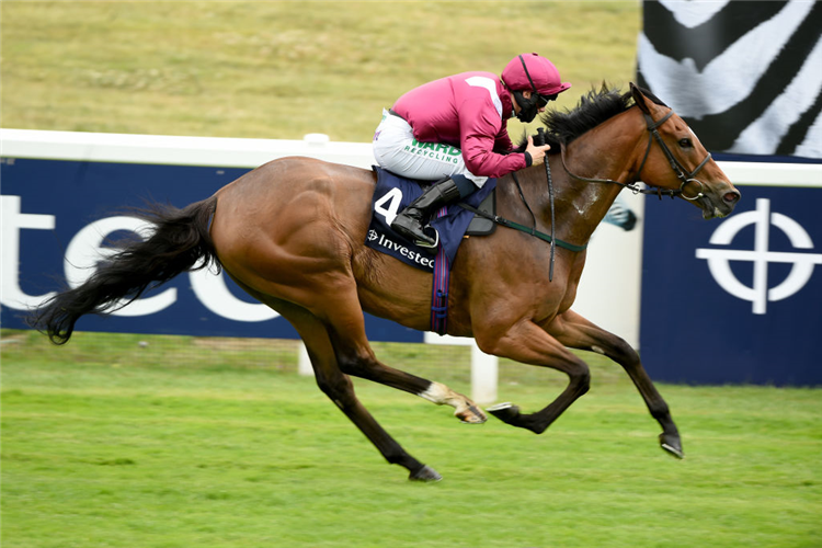 SAFE VOYAGE winning the Investec Surrey Stakes