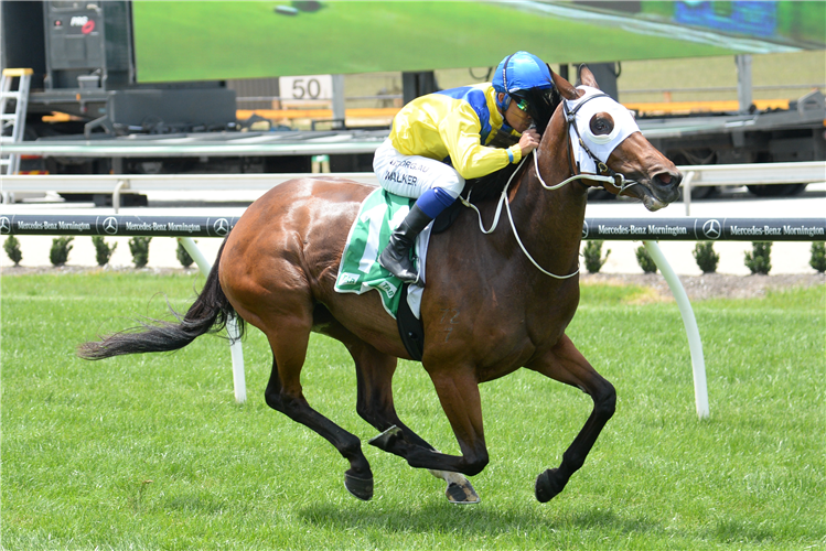 SAFEEYA winning the Afc - Peter & Lavella Darose Mdn at Cranbourne in Australia.