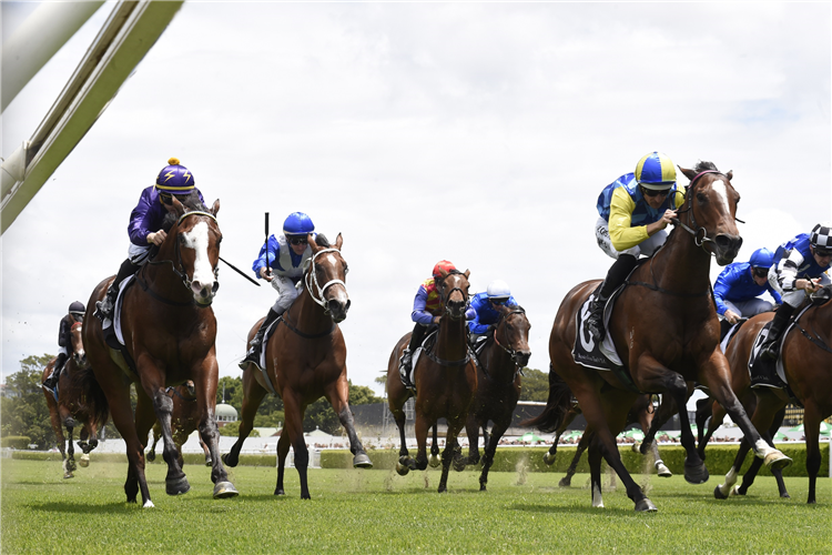 SALINA DREAMING winning the Easternbuilt Handicap at Randwick in Australia.