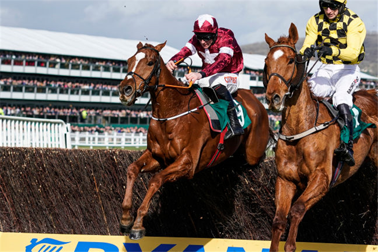 SAMCRO winning the Marsh Novices' Chase in Cheltenham, England.