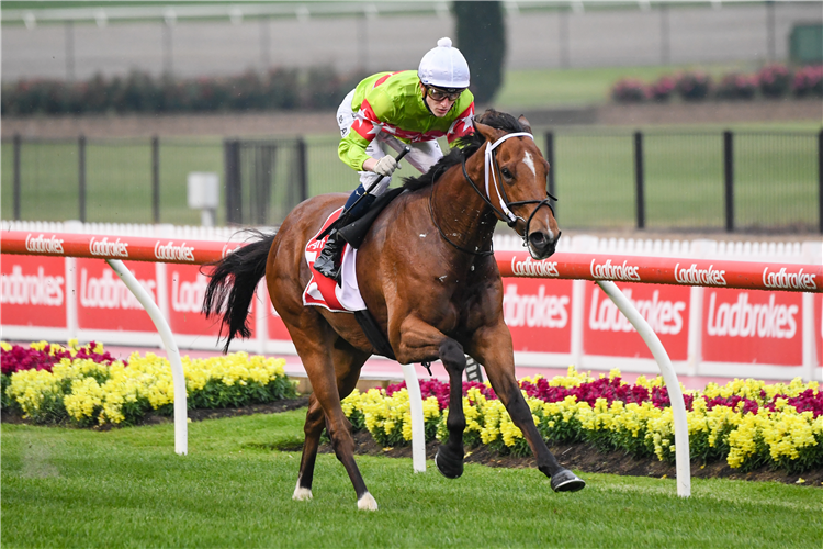 SANSOM winning the Antler Luggage Handicap at Moonee Valley in Moonee Ponds, Australia.