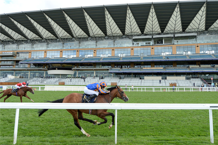 SANTIAGO winning the Queen's Vase at Ascot in England.