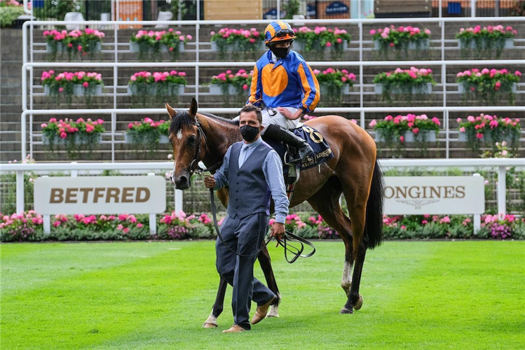 SANTIAGO winning the Queen's Vase at Ascot in England.