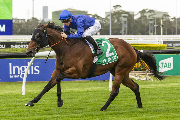 SAVATIANO winning the Tab Millie Fox Stakes