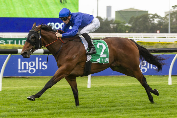 SAVATIANO winning the Tab Millie Fox Stakes