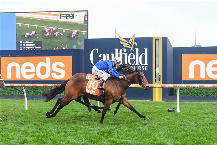 SAVATIANO winning the P.B. Lawrence Stakes.