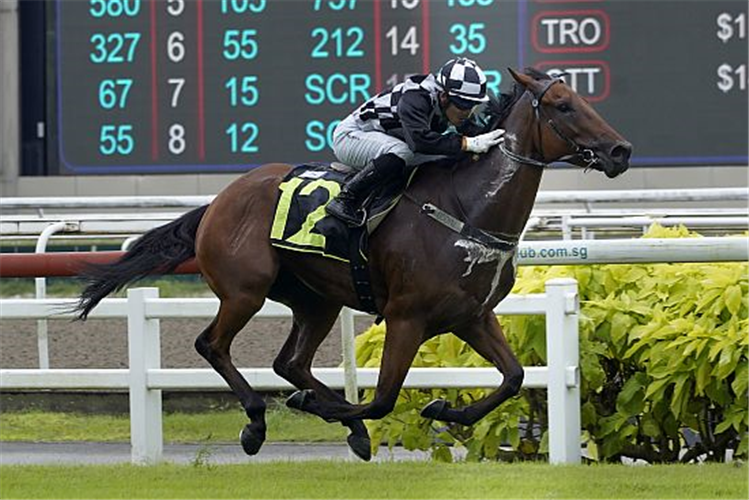 SAVVY COMMAND winning the RESTRICTED MAIDEN