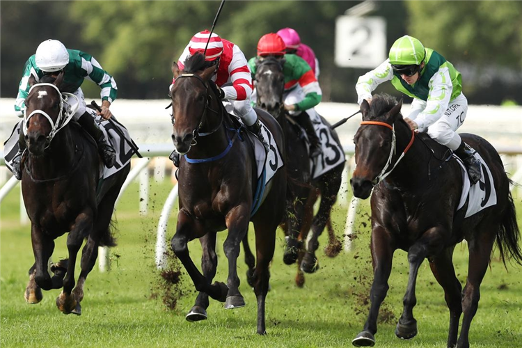 Scenic Warrior winning at Warwick Farm on Monday.