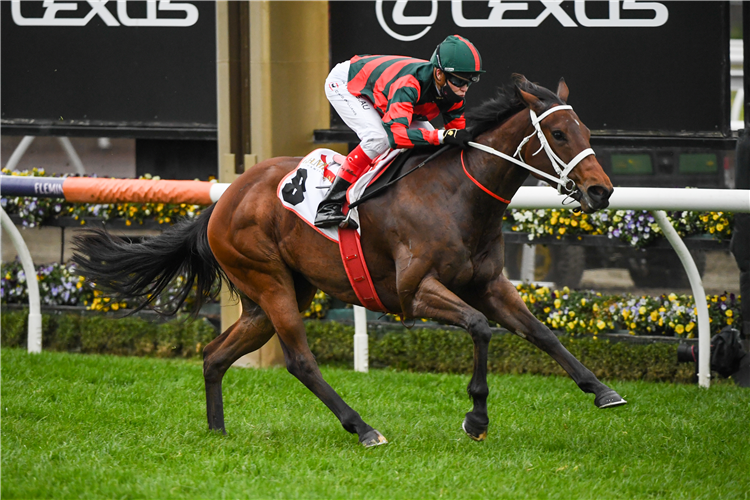 SEPTEMBER RUN winning the G.H. Mumm Cap D'Antibes Stakes.