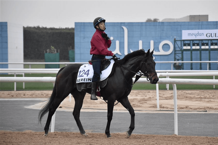 Promising Japanese 3-year-old filly Serein