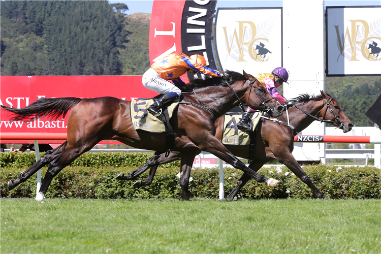 Sergeant Blast (inner) fights off a brave Te Akau Caliburn to take out the Listed Lincoln Farms New Zealand St Leger (2600m)