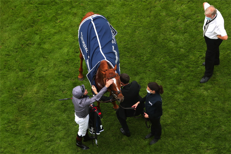 SERPENTINE after winning the Derby at Epsom in England.