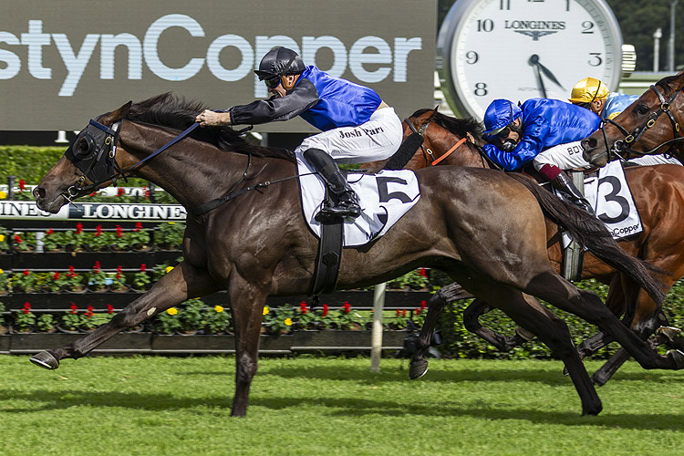 SHADOW HERO winning the Mostyn Copper Randwick Guineas