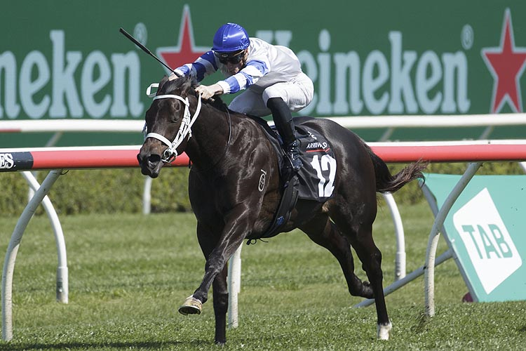 SHAQUERO winning the Arrowfield Breeders' Plate