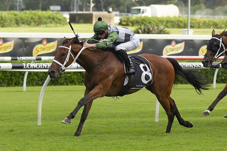 SHARED AMBITION winning the Entire Travel R'wick City Stks