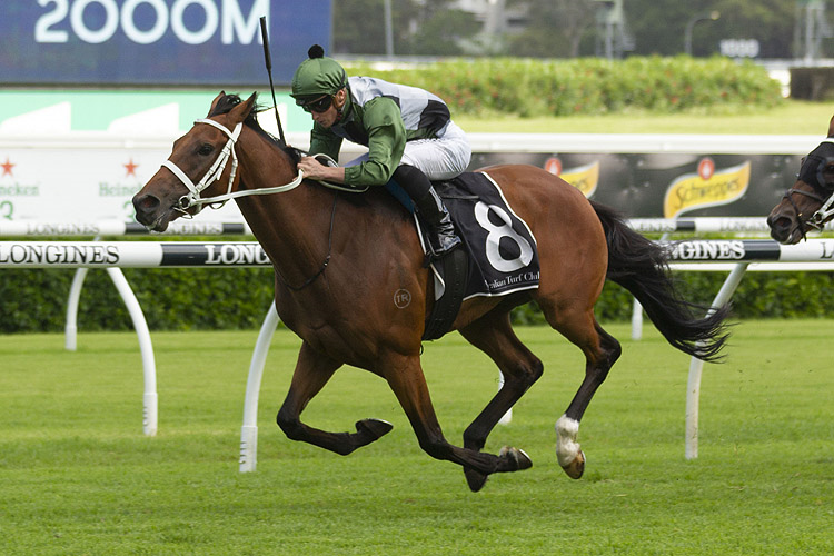 SHARED AMBITION winning the Entire Travel R'wick City Stks