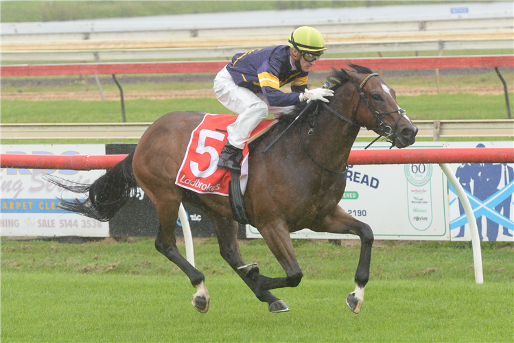 SHELBY COBRA winning the Tac Be Races Ready 3yo Mdn at Sale in Australia.