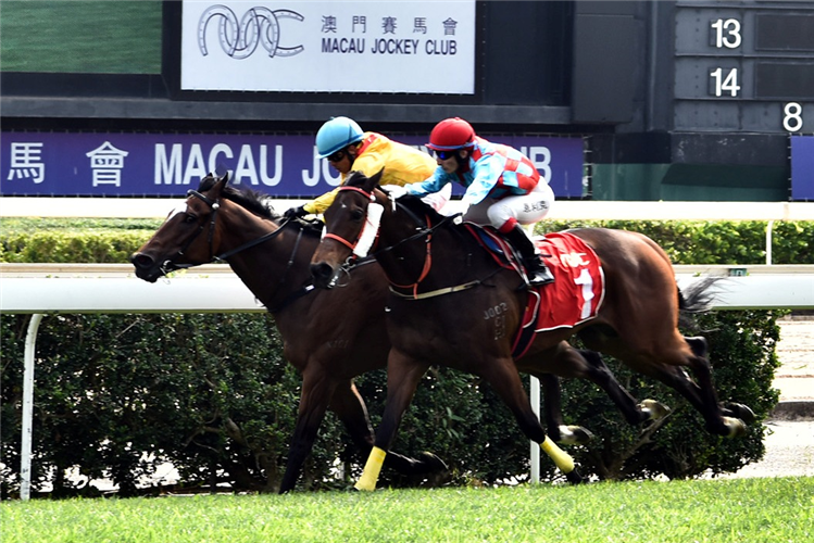 SHENG LI SUPERSTAR winning the SPRING TROPHY (GROUP 2)