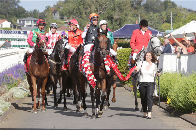 SHERWOOD FOREST parading after winning the Nz Derby