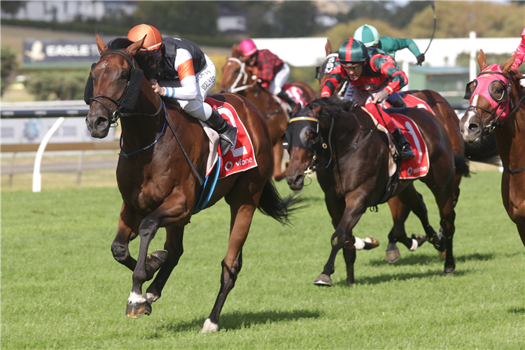 SHERWOOD FOREST winning the Jra Trophy Hcp (95)