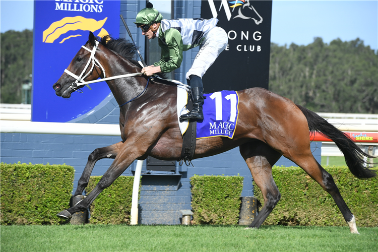 SHE'S ALL CLASS winning the M. Millions Wyong 2yo Classic at Wyong in Australia.