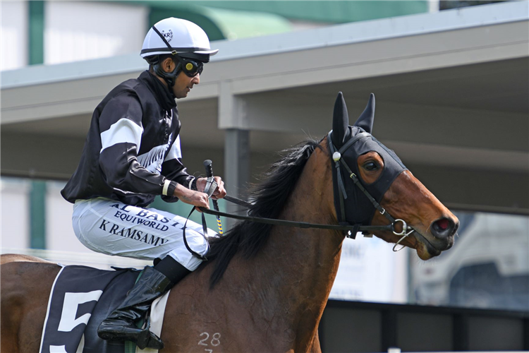 Kersley Ramsamy returns to scale after collecting his first win in New Zealand aboard Sheza Jakkal