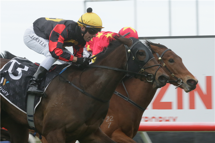 SHEZZACATCH(outside) winning the El Roca-Sir Colin Meads Trophy